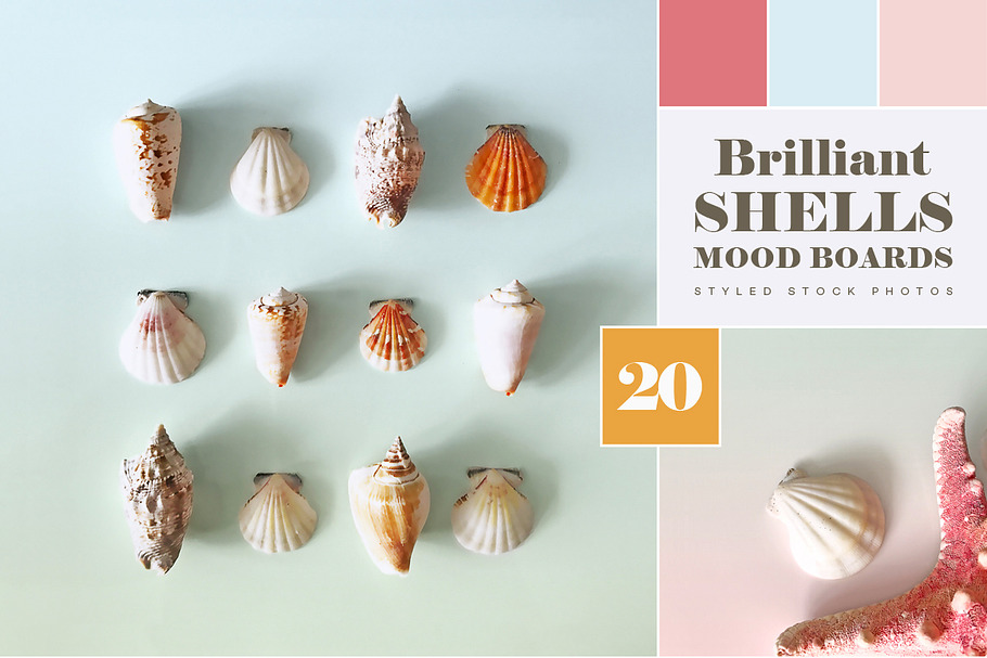 Brilliant Shells moodboards & photos