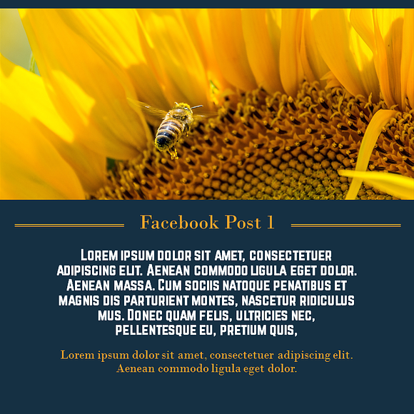 Facebook Post 1 PowerPoint template in Facebook Templates - product preview 12