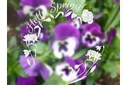 Background  with spring garden flowers
