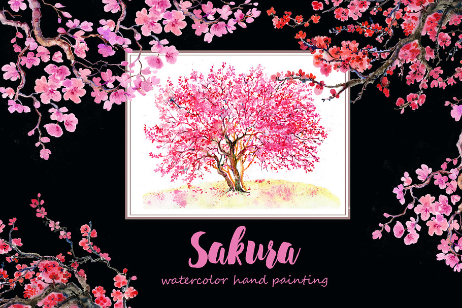 Sakura flowers, clipart,watercolor