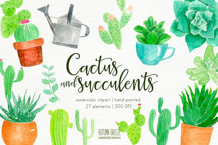 watercolor  CXactus and succulents in Illustrations - product preview 8