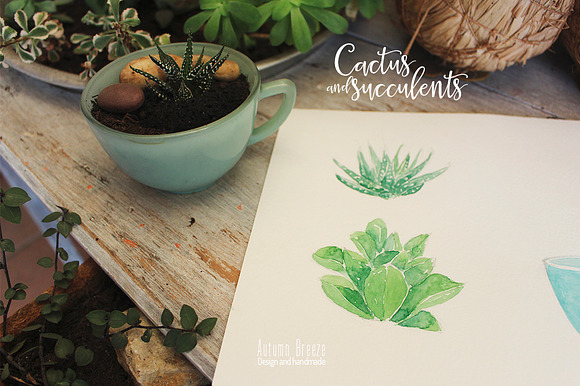watercolor  CXactus and succulents in Illustrations - product preview 1
