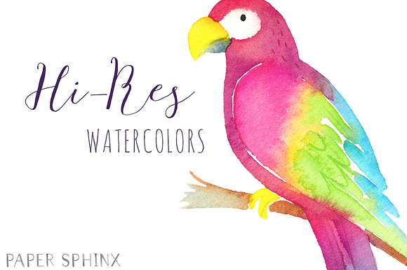 Watercolor Tropical Clipart Pack in Illustrations - product preview 2
