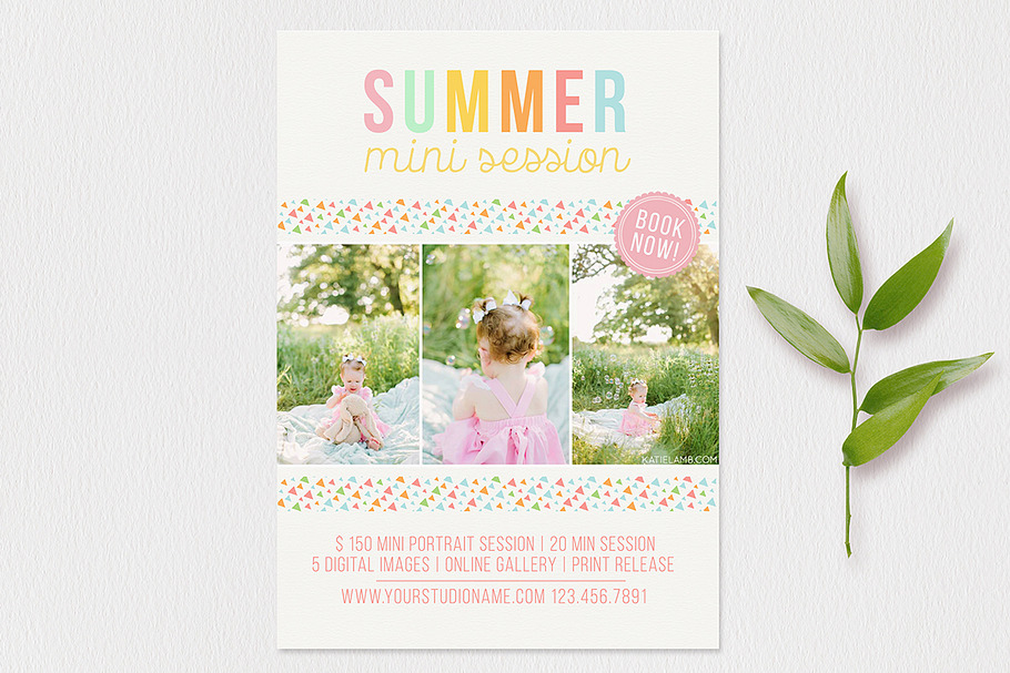 Summer Mini Session Template in Templates - product preview 8