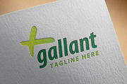 Modern Logo - 'Gallant'