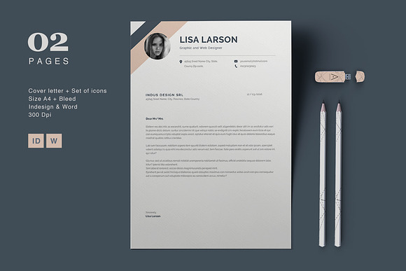 Resume Lisa in Resume Templates - product preview 3