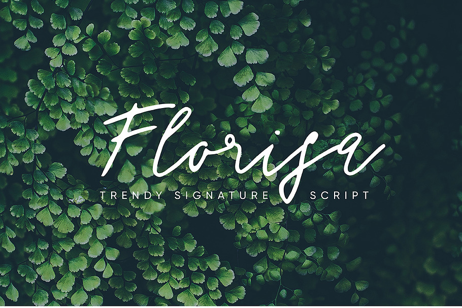 Florisa signature script in Signature Fonts - product preview 8