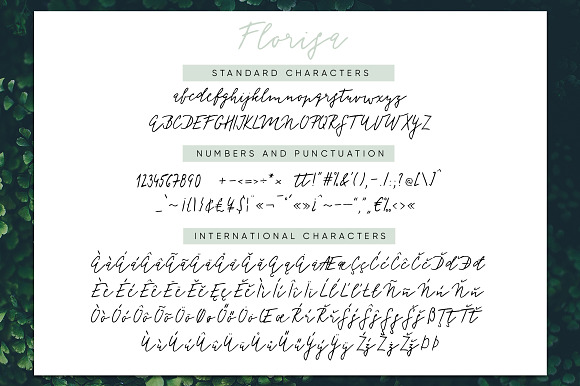 Florisa signature script in Signature Fonts - product preview 8