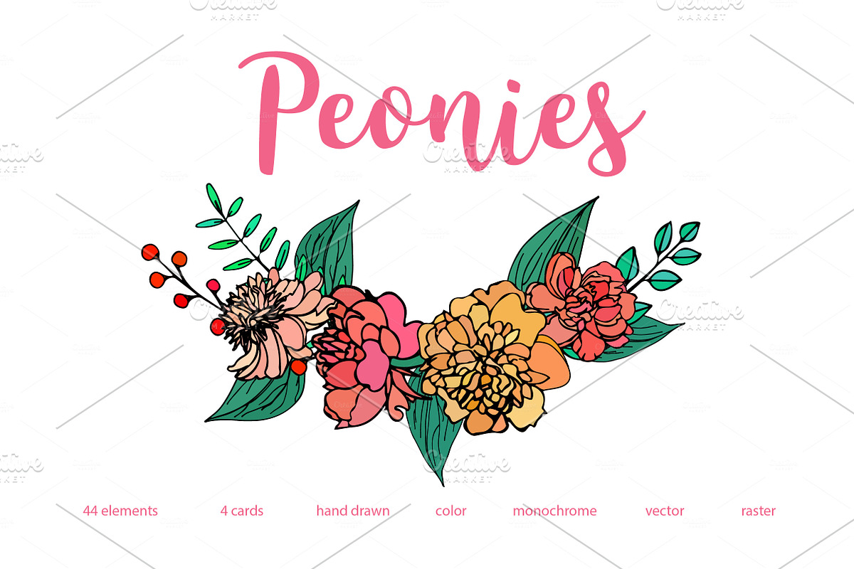 Peonies  in Graphics - product preview 8
