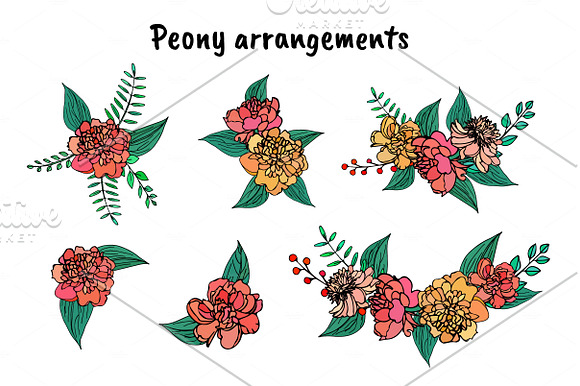 Peonies  in Graphics - product preview 3