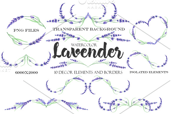 Lavender decor elements in Illustrations - product preview 1