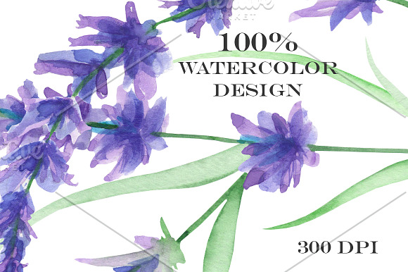 Lavender decor elements in Illustrations - product preview 2