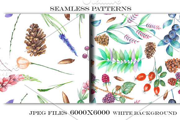 Forest and lavender Patterns in Patterns - product preview 1