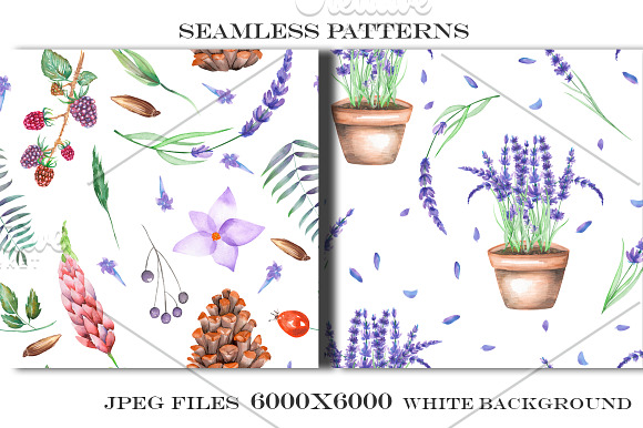 Forest and lavender Patterns in Patterns - product preview 3