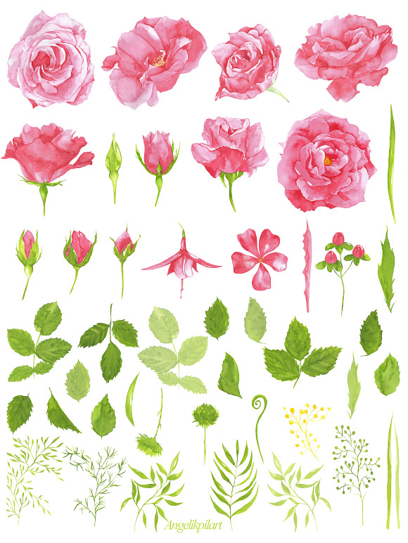 watercolor Pink Roses clipart in Illustrations - product preview 1