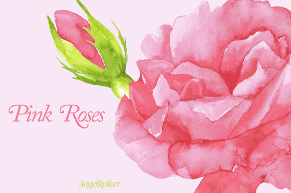 watercolor Pink Roses clipart in Illustrations - product preview 2