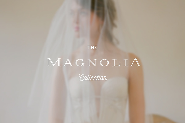Magnolia ProPhoto 6 Collection