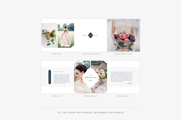 Pettigrove II ProPhoto 6 Collection in Website Templates - product preview 3