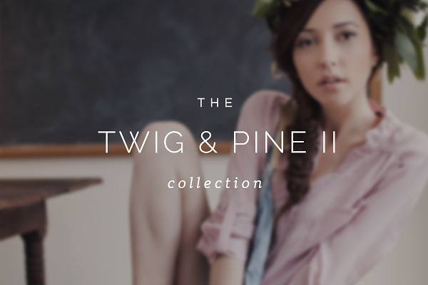 Twig & Pine II ProPhoto 6 Collection