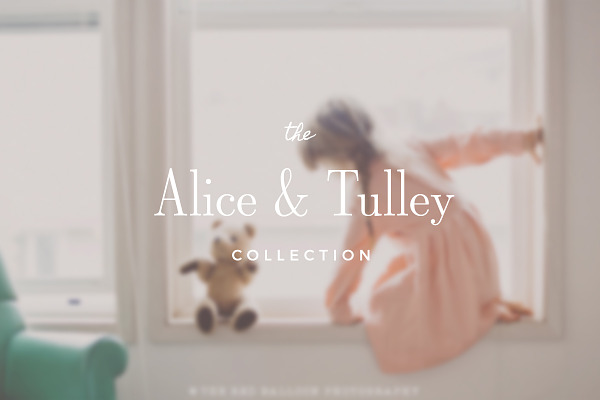 Alice & Tulley ProPhoto 6 Collection