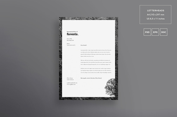 Branding Pack | Forests Day in Branding Mockups - product preview 1