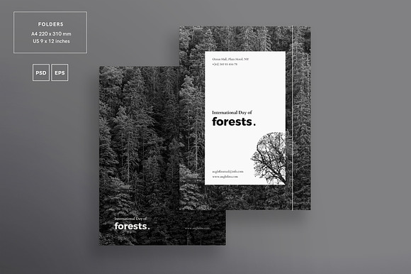 Branding Pack | Forests Day in Branding Mockups - product preview 5