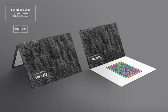 Branding Pack | Forests Day in Branding Mockups - product preview 6