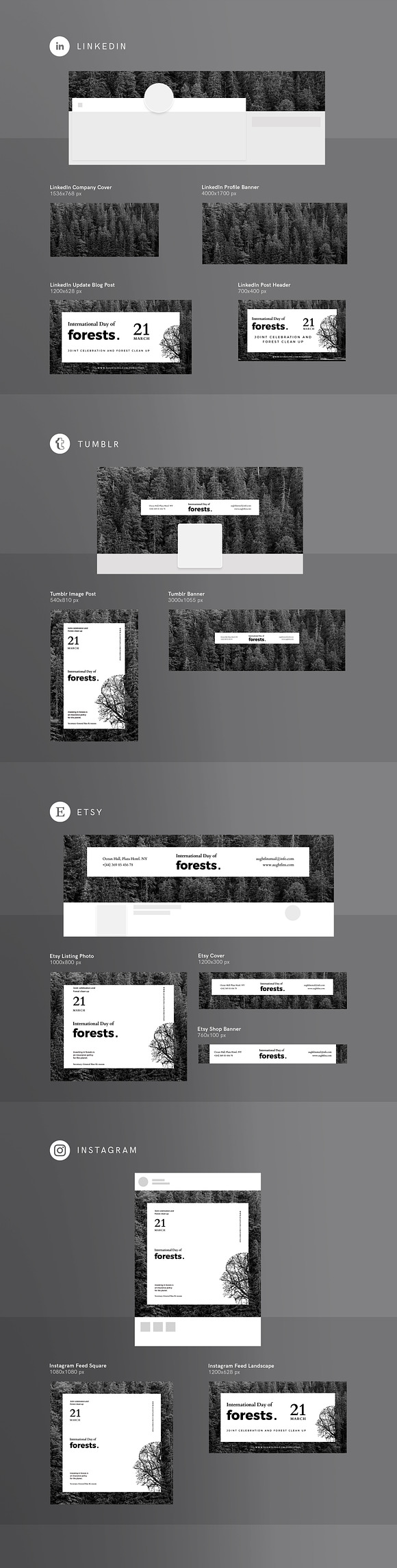Branding Pack | Forests Day in Branding Mockups - product preview 8