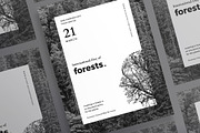Posters | Forests Day