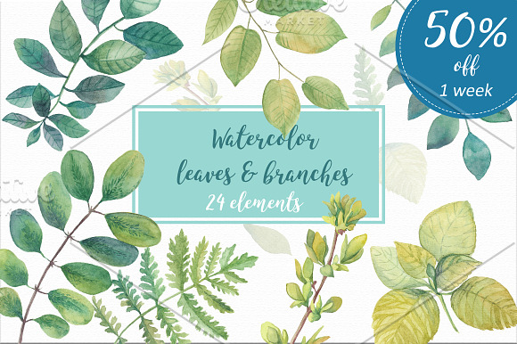 50% OFF Watercolor leaves & branches in Objects - product preview 1