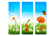 Nature summer banners. Vector