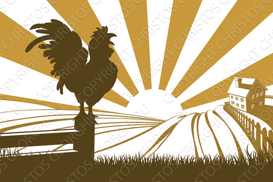 Silhouette cockerel crowing on farm in Illustrations - product preview 8