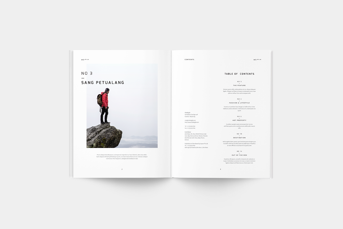 Flair Magazine in Magazine Templates - product preview 8