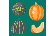 Fresh orange pumpkin decorative seasonal ripe food organic healthy vegetarian vegetable vector