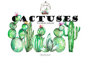 Watercolor Cactuses clipart