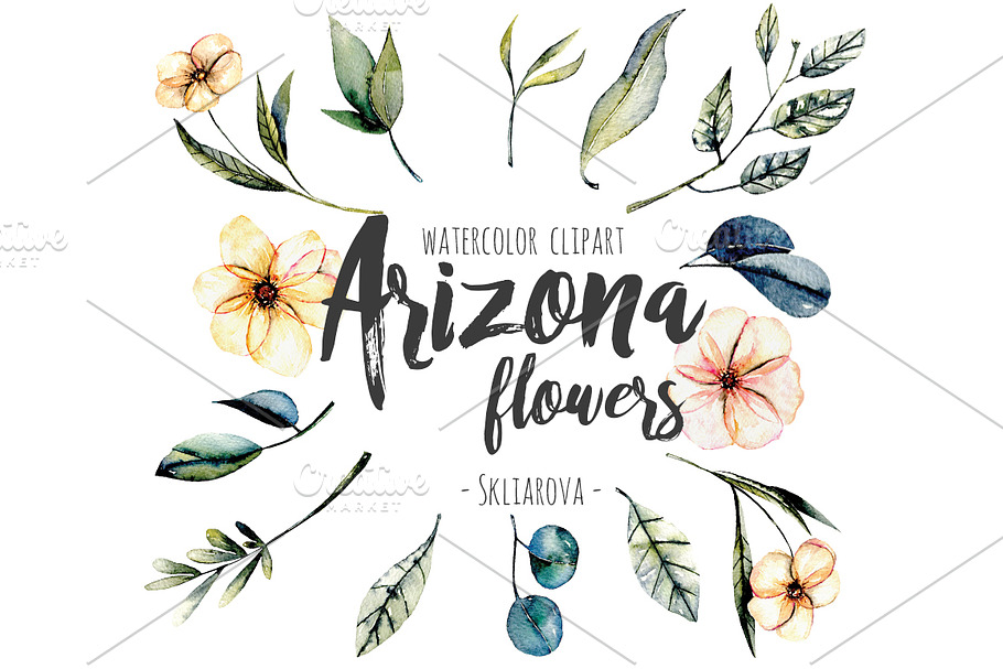 Arizona Flowers. Elements in Illustrations - product preview 8