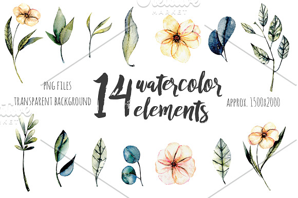 Arizona Flowers. Elements in Illustrations - product preview 1