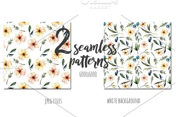 Arizona Flowers. Elements in Illustrations - product preview 2