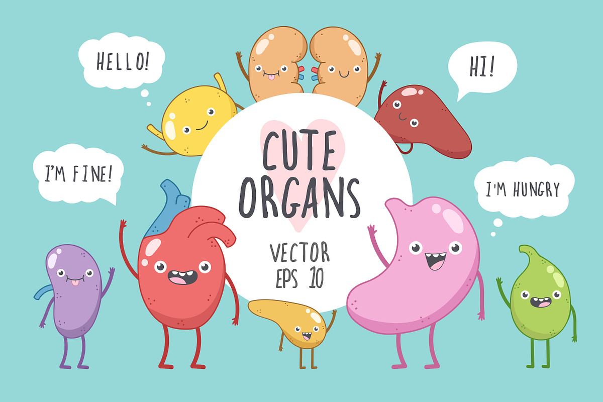 Cute Organs in Illustrations - product preview 8