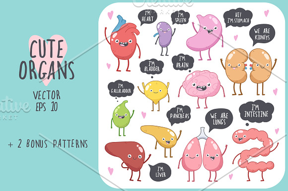 Cute Organs in Illustrations - product preview 1