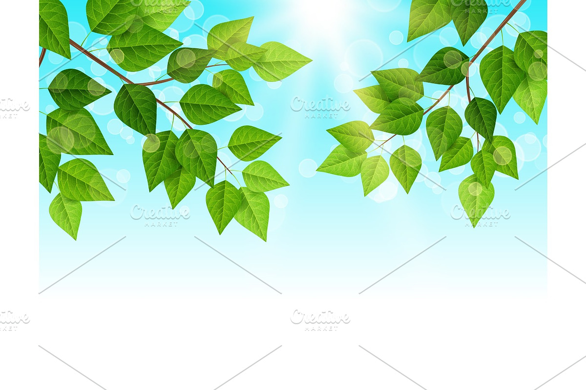 Forest background with green leaves in Illustrations - product preview 8