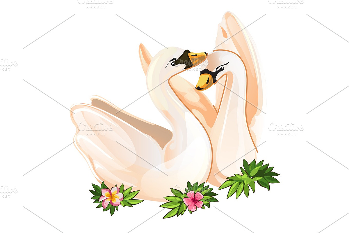 Two Swans in love, tender vector postcard in Illustrations - product preview 8