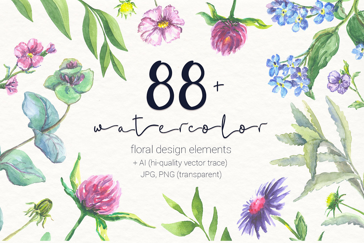 87 warercolor floral set PNG+JPG+AI in Objects - product preview 8