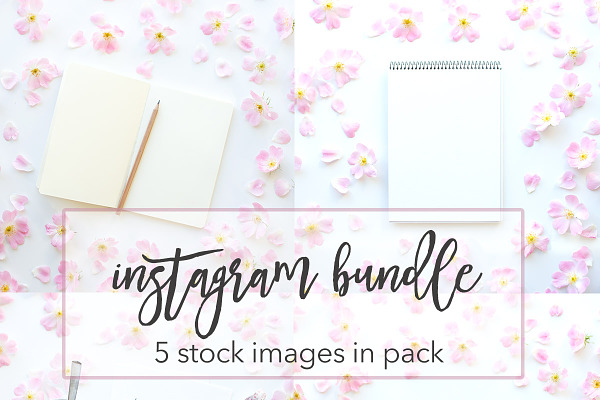 Wildroses Instagram Bundle
