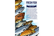 Vector fresh fish catch poster for market