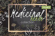 Medicinal herbs sketch set Vol. 2