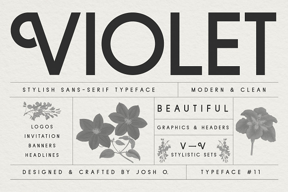 Sans Serif Typeface Collection in Sans-Serif Fonts - product preview 5