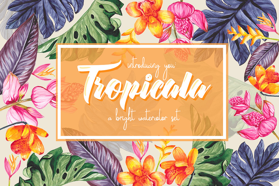 Tropicala in Illustrations - product preview 8