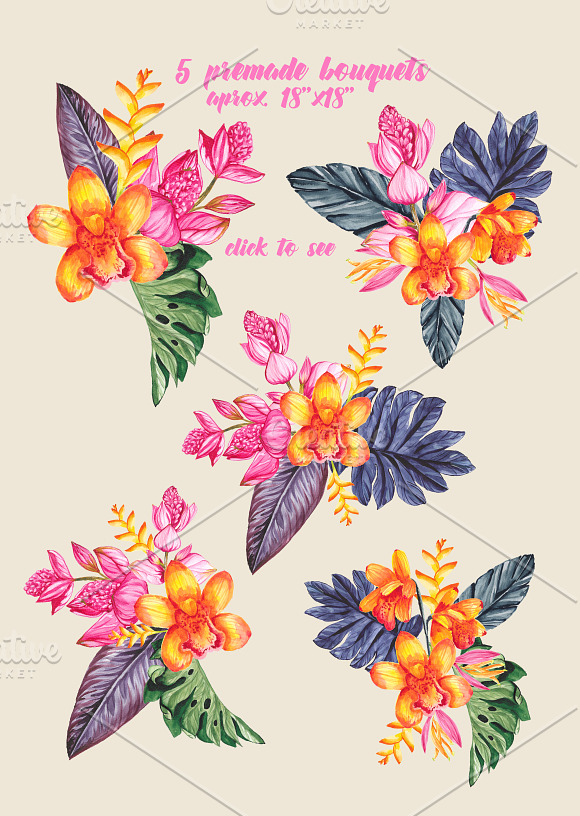 Tropicala in Illustrations - product preview 2