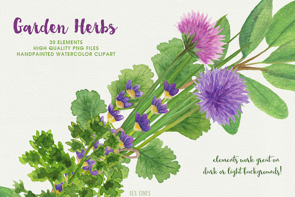 Herb Garden Watercolor Illustrations in Illustrations - product preview 4
